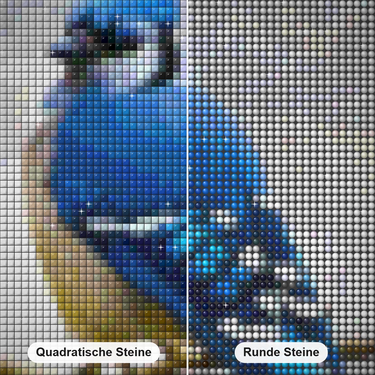 Blauhäher - Kunst des Denise Dundon Diamond Painting Nahaufnahme mit quadratischen und runden Steinen