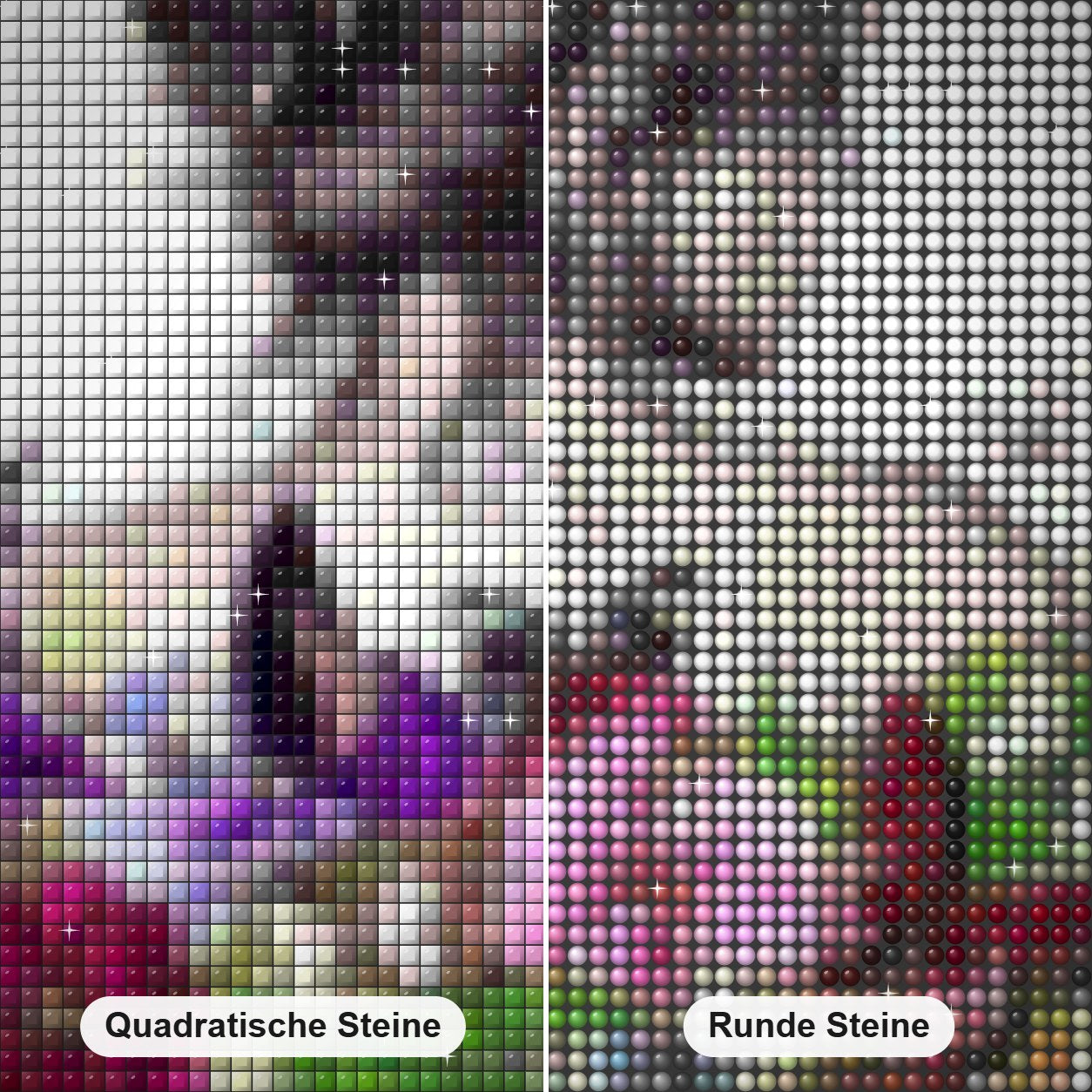 Blumen & Schmetterlinge auf ihrem Rücken Diamond Painting Nahaufnahme mit quadratischen und runden Steinen