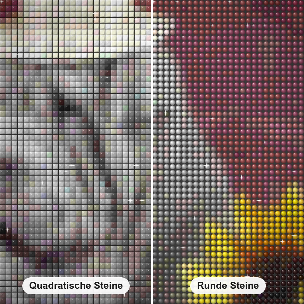 Bulldogge & Sonnenblumen Diamond Painting Nahaufnahme mit quadratischen und runden Steinen