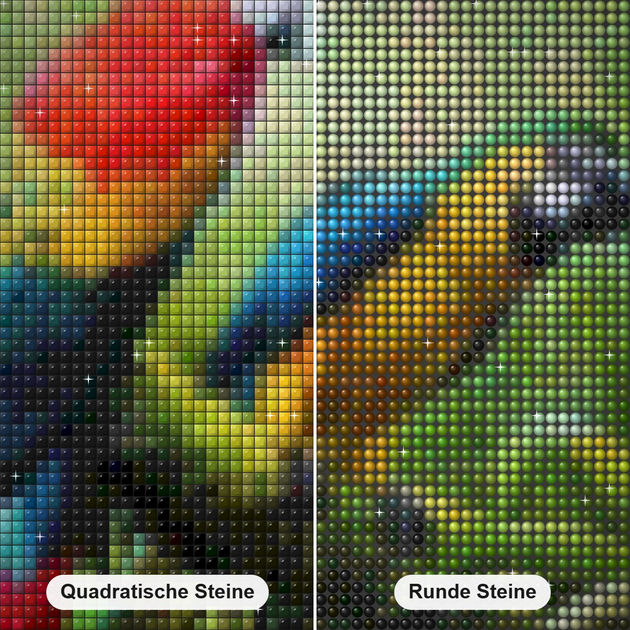 Bunte Papageien im Wald Diamond Painting Nahaufnahme mit quadratischen und runden Steinen