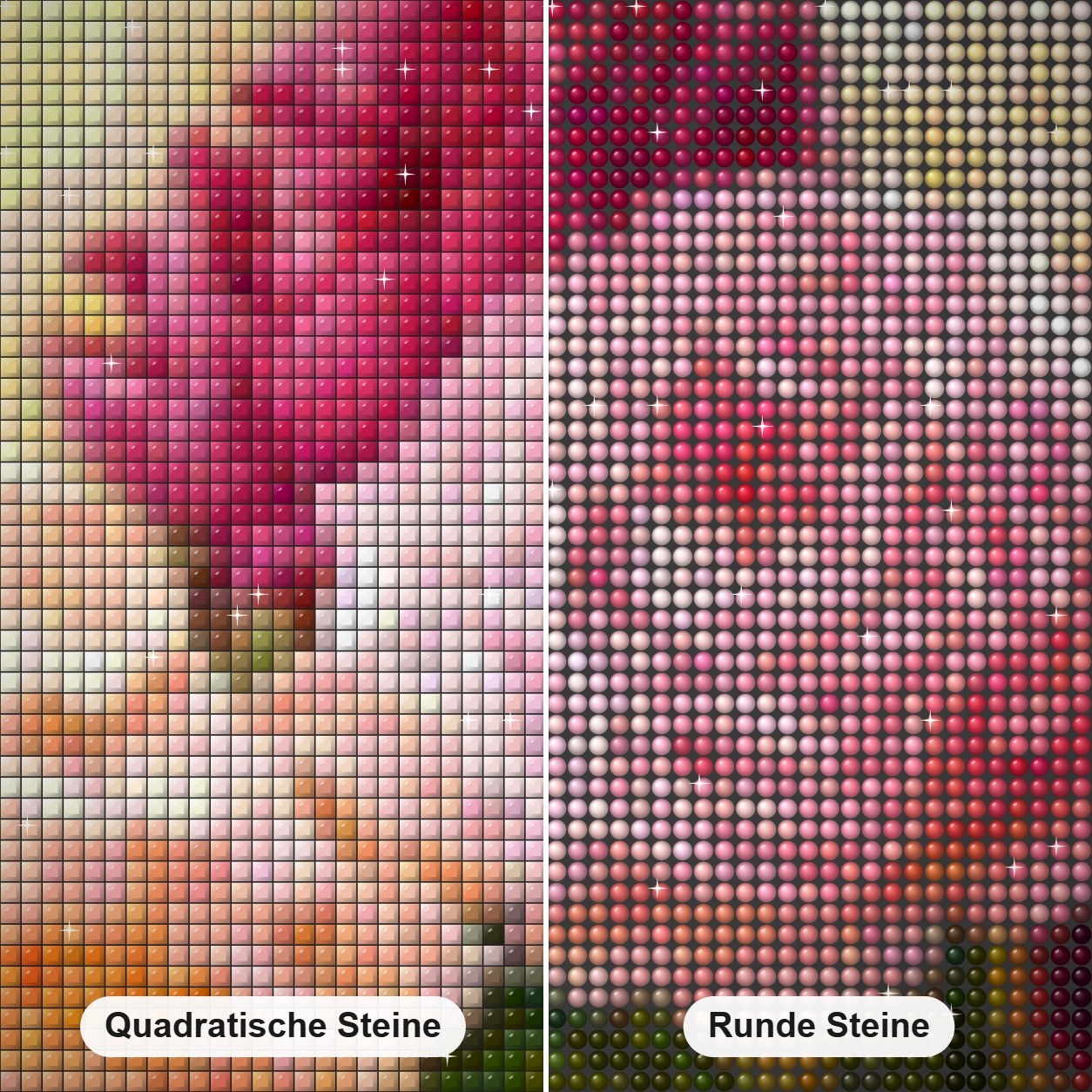Bunte Pfingstrosenblume Diamond Painting Nahaufnahme mit quadratischen und runden Steinen