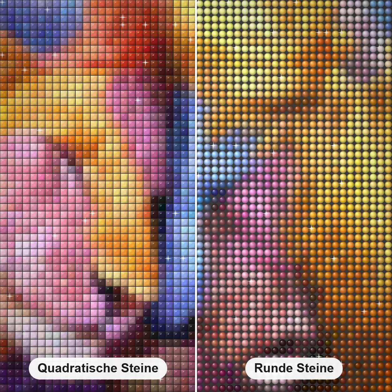 Bunter Löwe & Löwin Diamond Painting Nahaufnahme mit quadratischen und runden Steinen