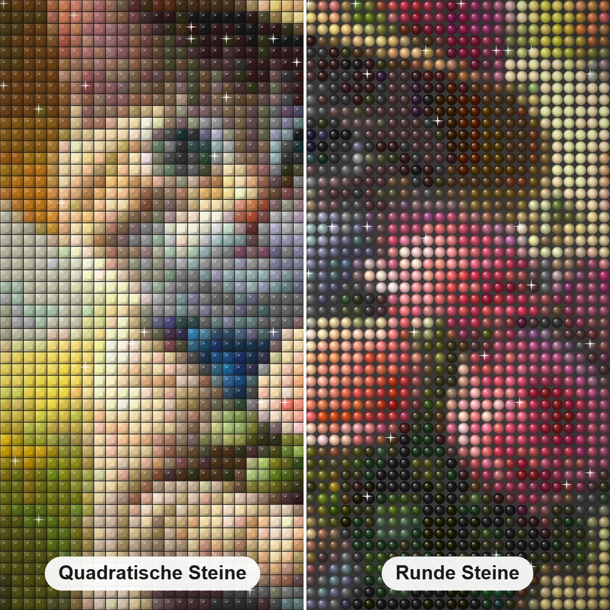 Katze erkundet Gartenwunder Diamond Painting Nahaufnahme mit quadratischen und runden Steinen