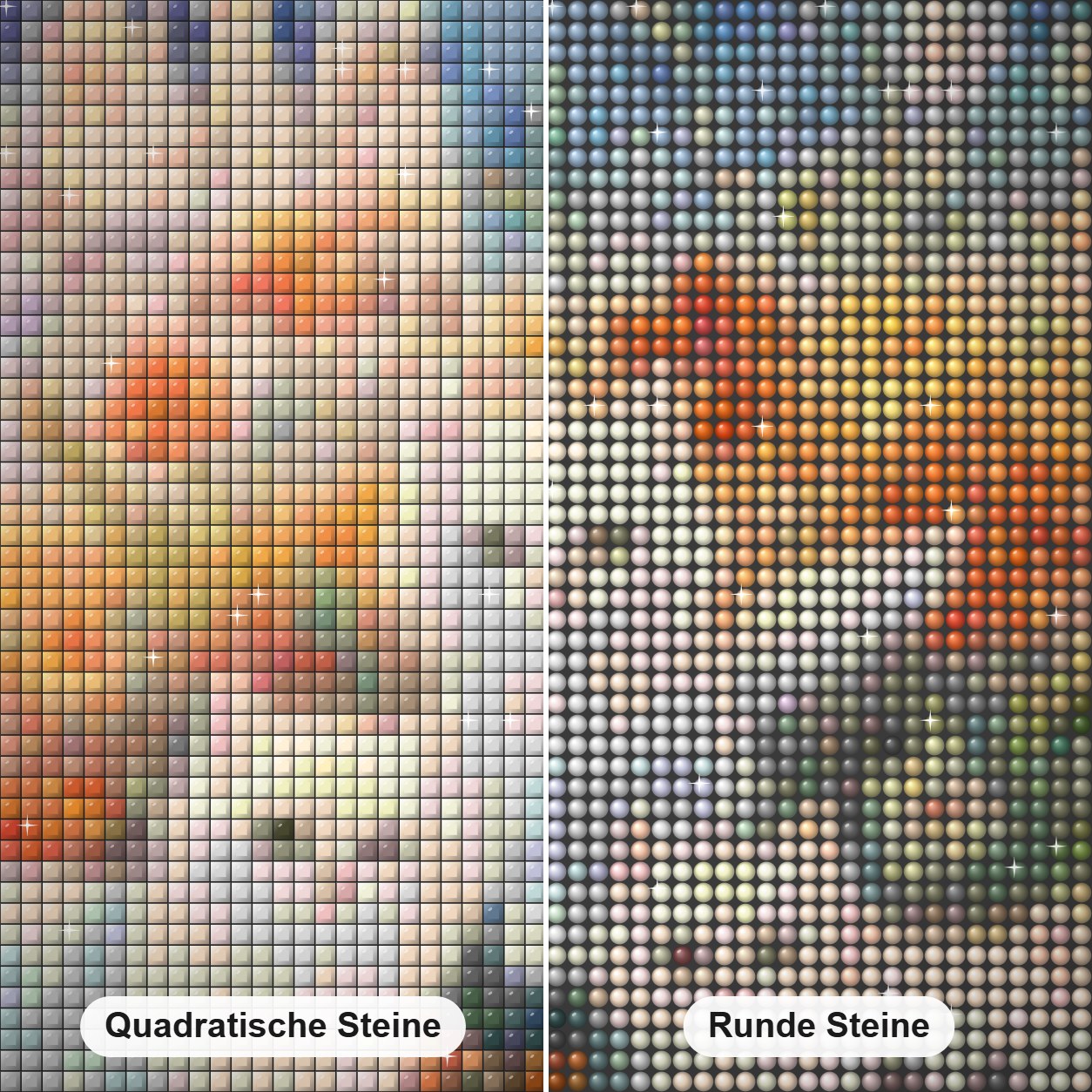 Katzen im Schlossgarten Diamond Painting Nahaufnahme mit quadratischen und runden Steinen