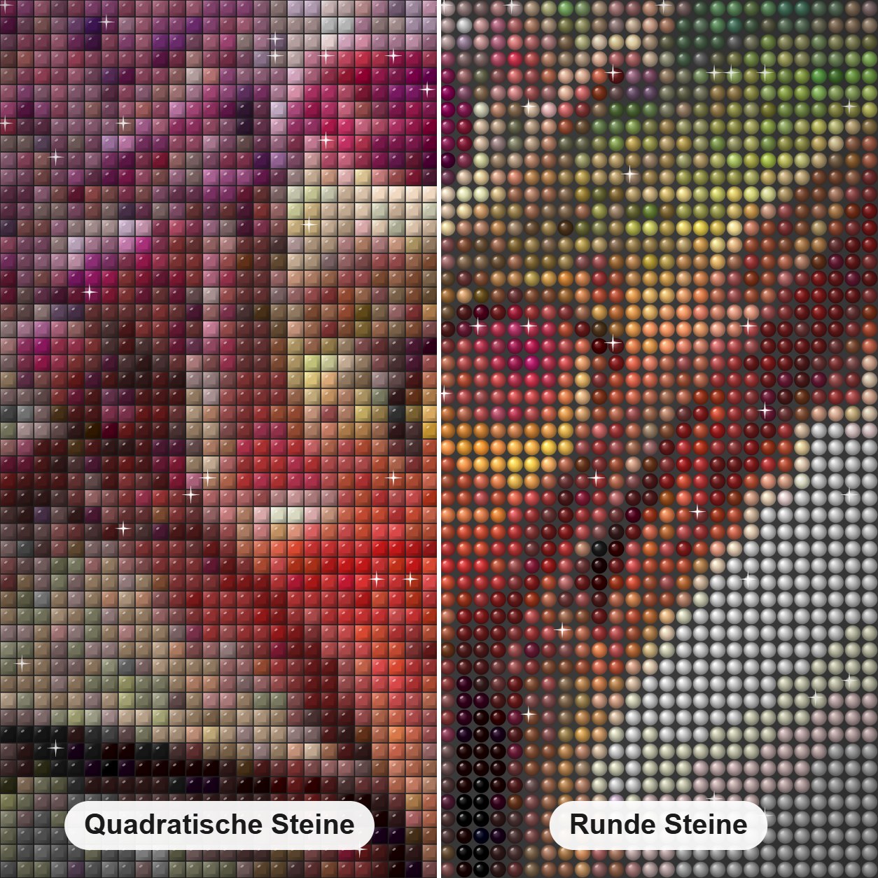 Chamäleon Diamond Painting Nahaufnahme mit quadratischen und runden Steinen