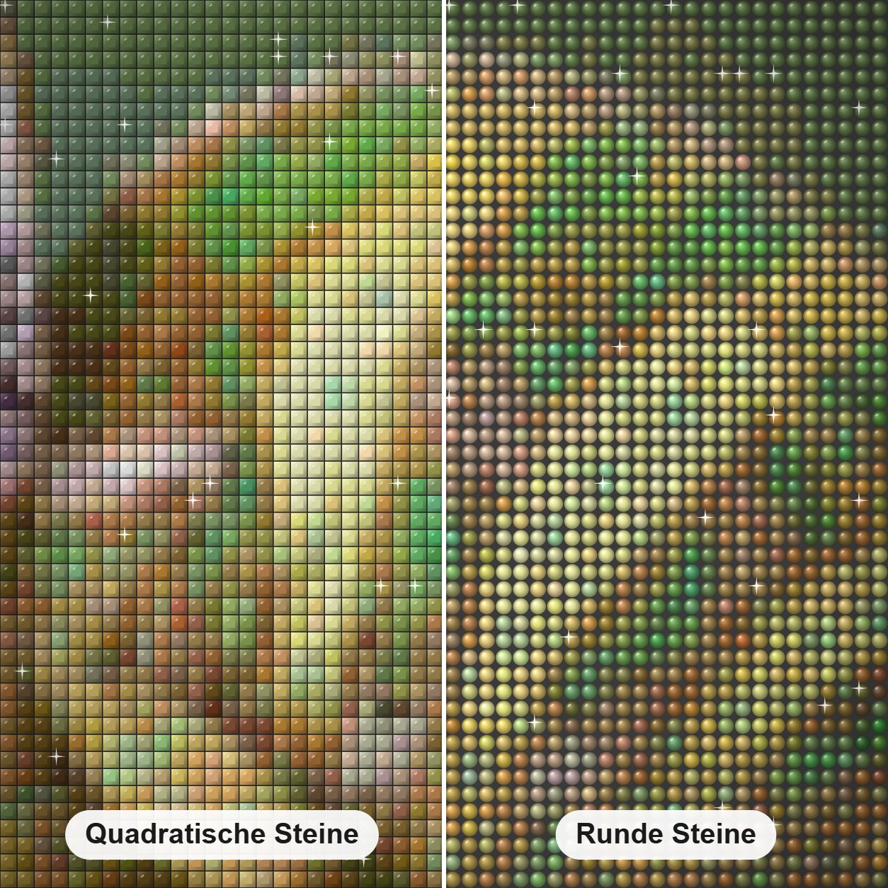 Chamäleon & Schmetterling Diamond Painting Nahaufnahme mit quadratischen und runden Steinen