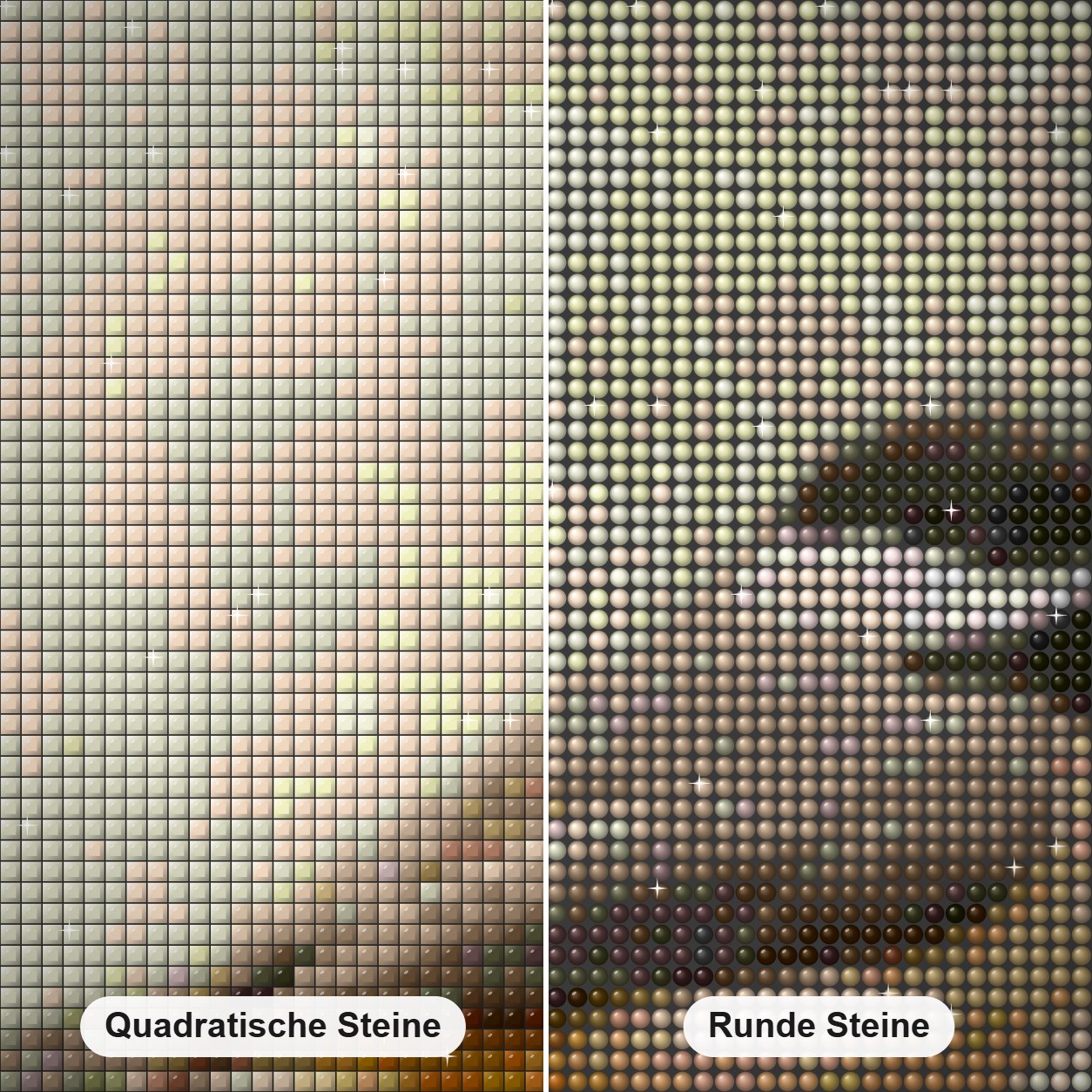 Meise - Kunst des Denise Dundon Diamond Painting Nahaufnahme mit quadratischen und runden Steinen