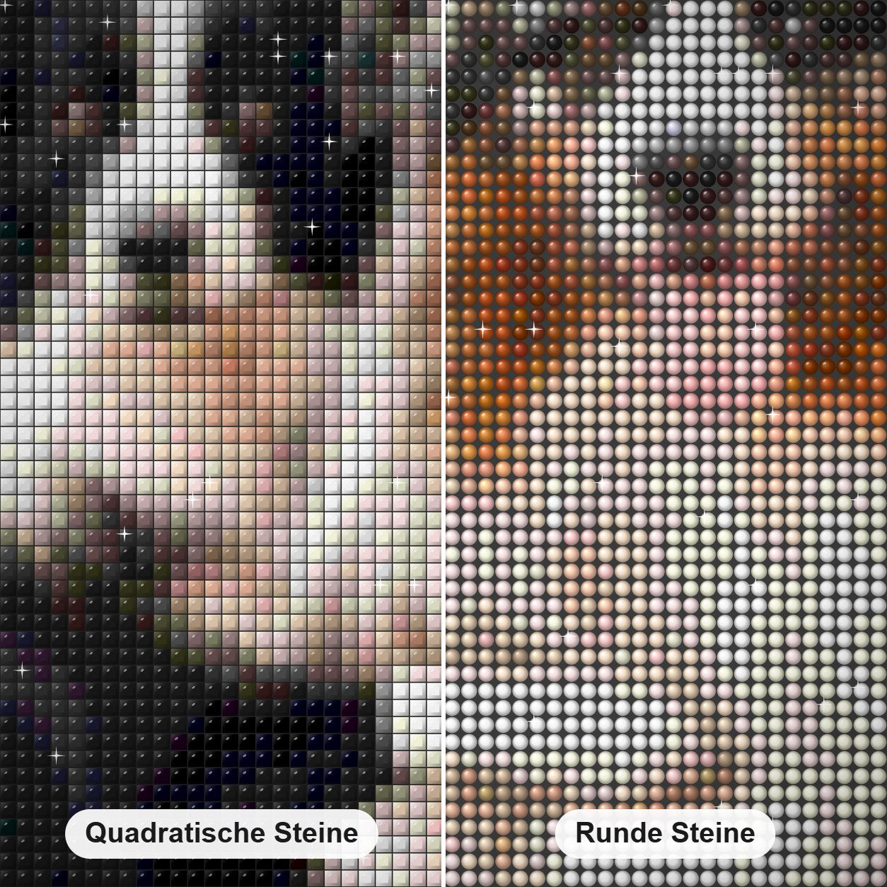 Collie Hunde Paar Diamond Painting Nahaufnahme mit quadratischen und runden Steinen