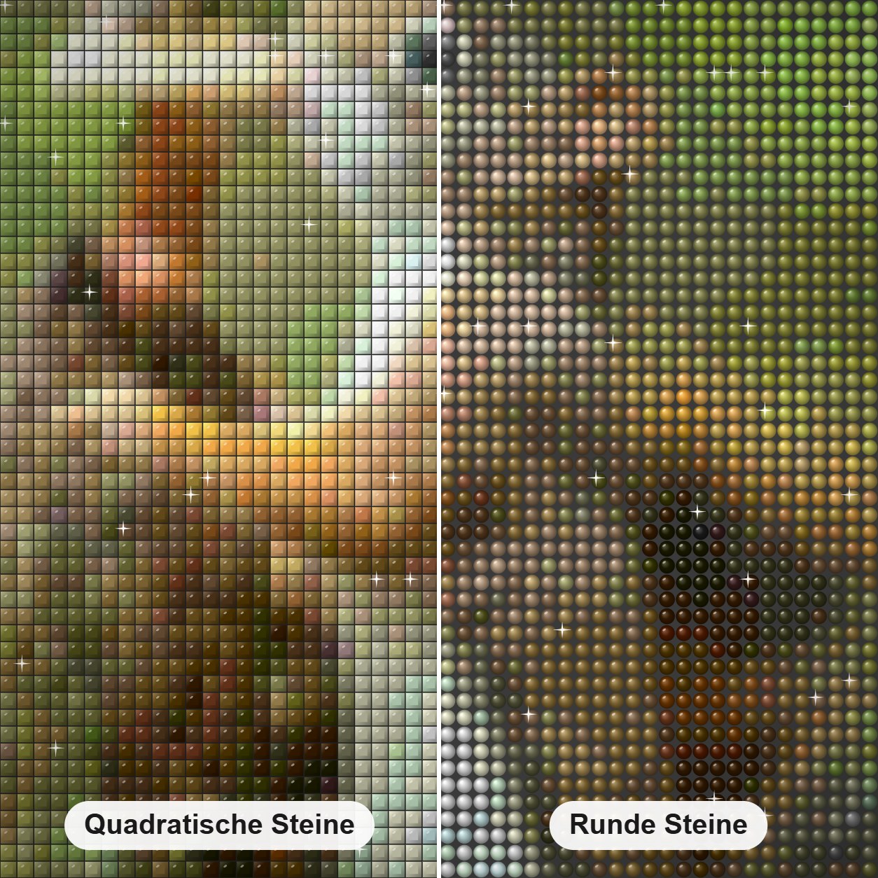 Eichhörnchen & Spatz Diamond Painting Nahaufnahme mit quadratischen und runden Steinen