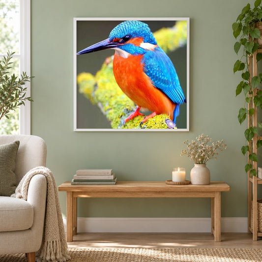 Eisvogel als gerahmtes Diamond Painting im Wohnzimmer