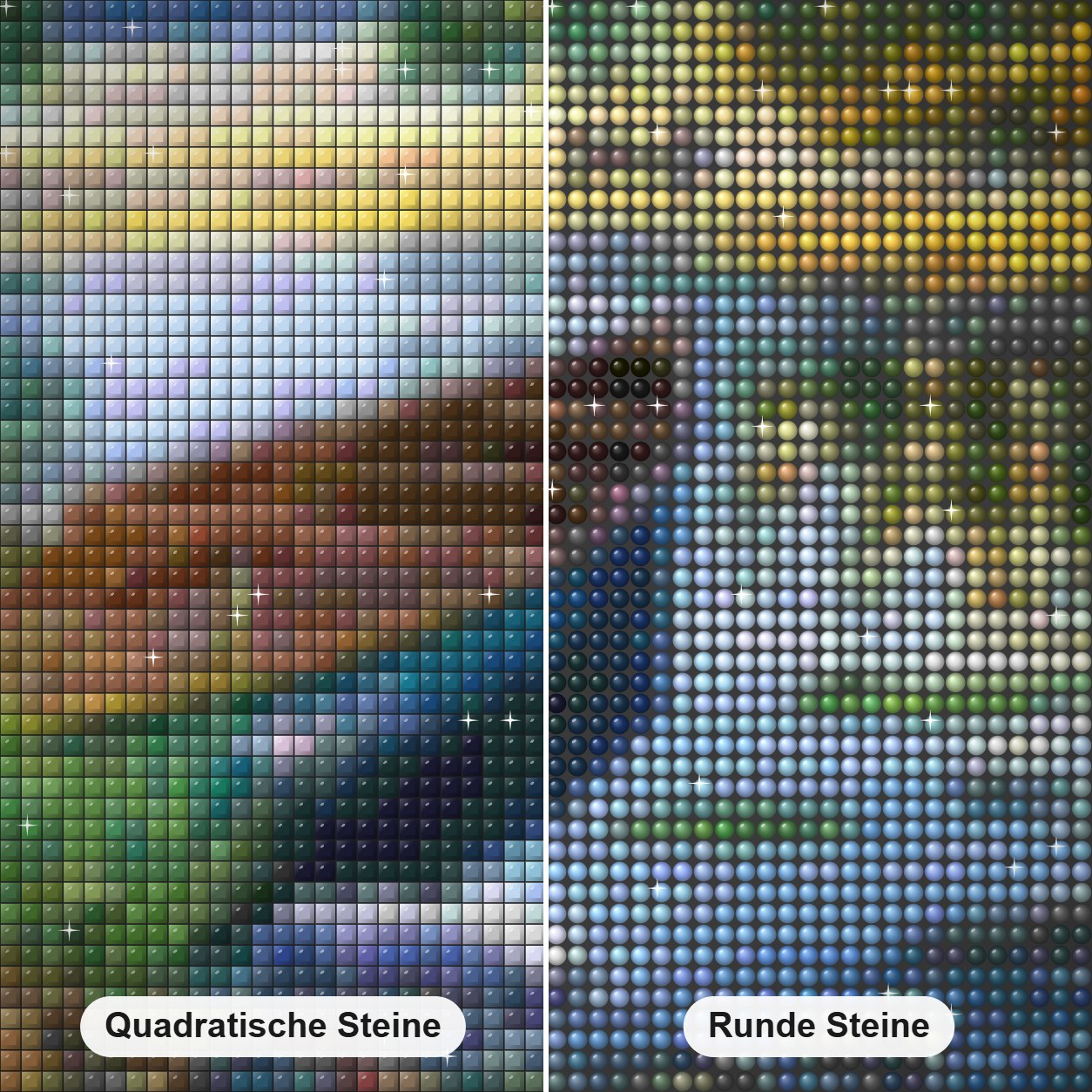 Enten im See Diamond Painting Nahaufnahme mit quadratischen und runden Steinen