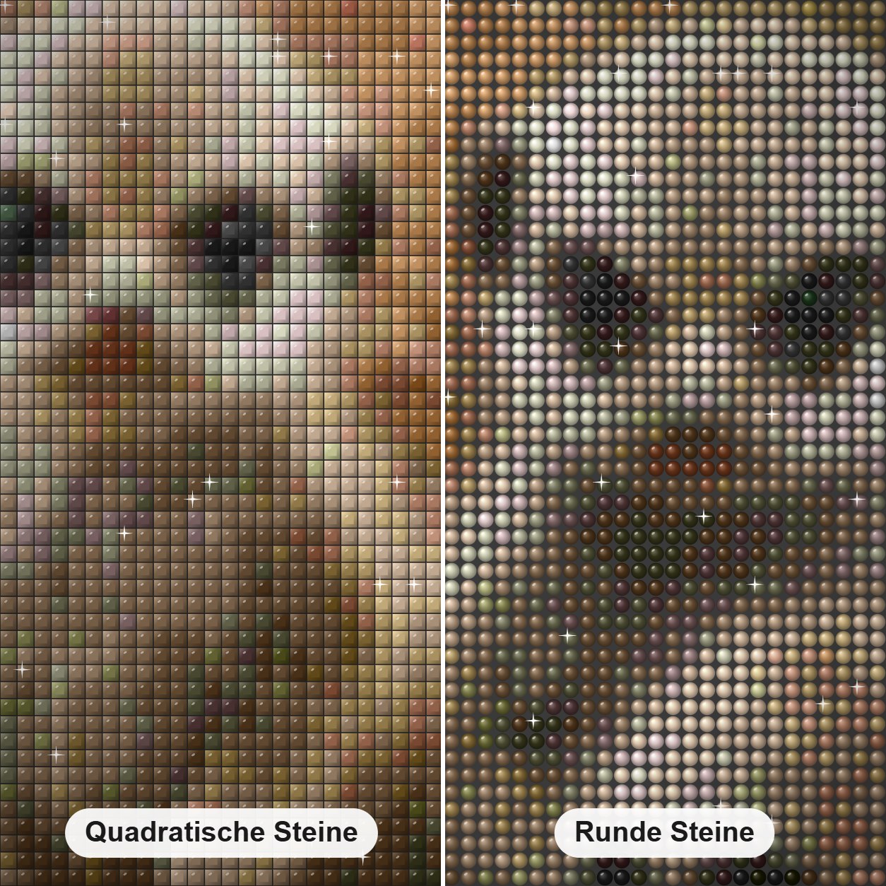 Erdmännchen Diamond Painting Nahaufnahme mit quadratischen und runden Steinen