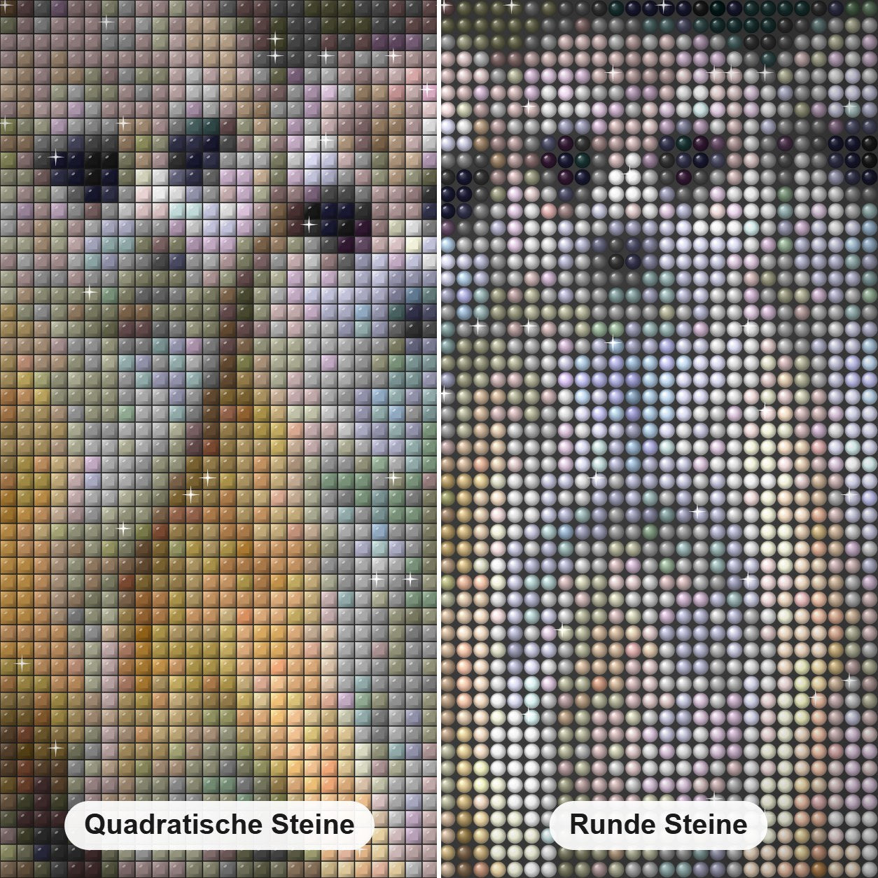 Erdmännchen in der Gruppe Diamond Painting Nahaufnahme mit quadratischen und runden Steinen