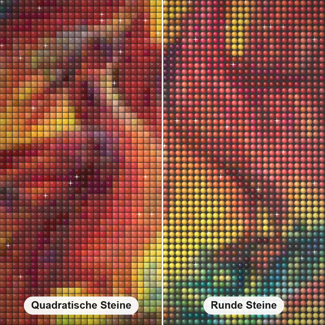 Erstaunliches Phönixpaar & Vögel Diamond Painting Nahaufnahme mit quadratischen und runden Steinen