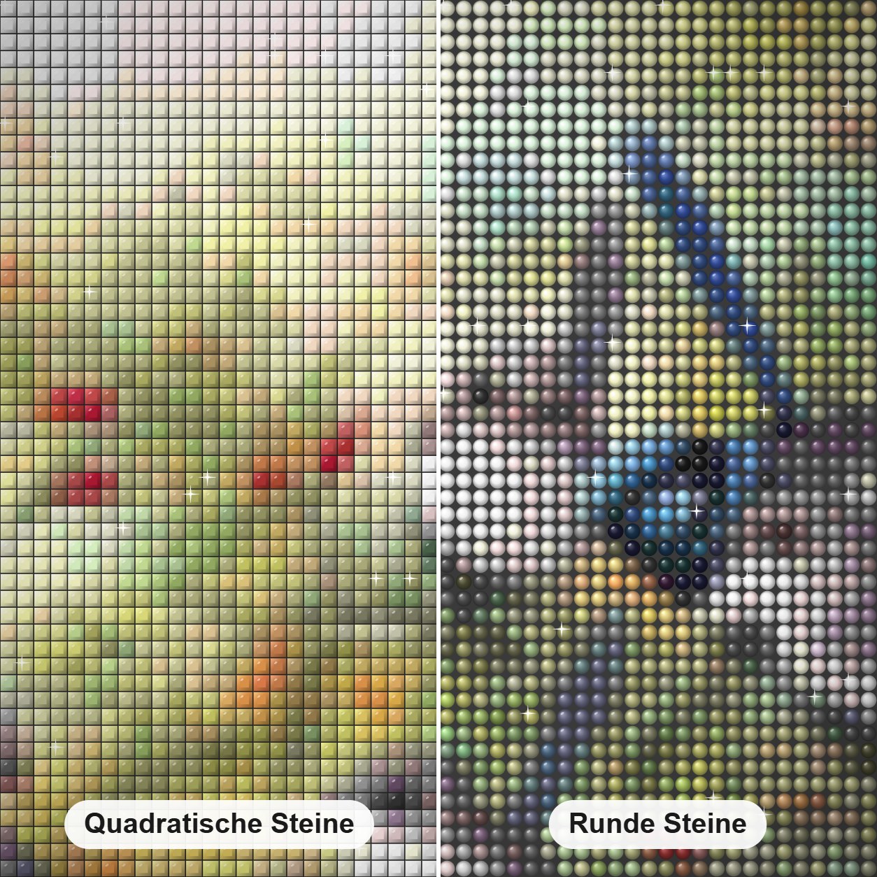 Eurasische Elstern Diamond Painting Nahaufnahme mit quadratischen und runden Steinen