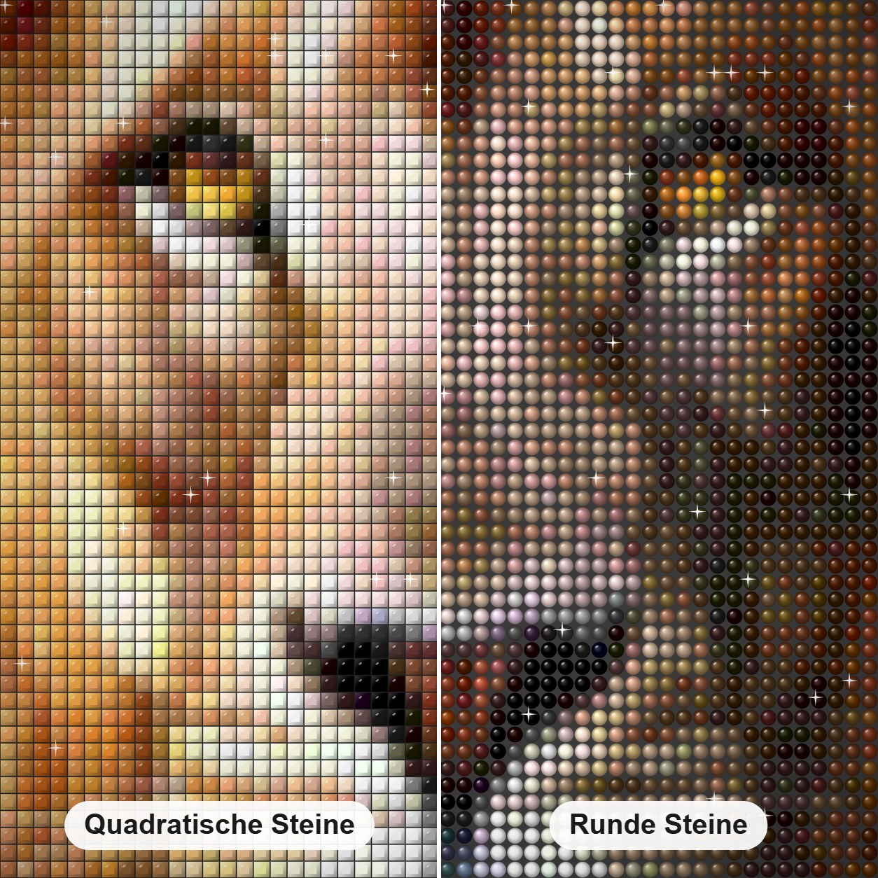 Faszinierender Löwe Diamond Painting Nahaufnahme mit quadratischen und runden Steinen