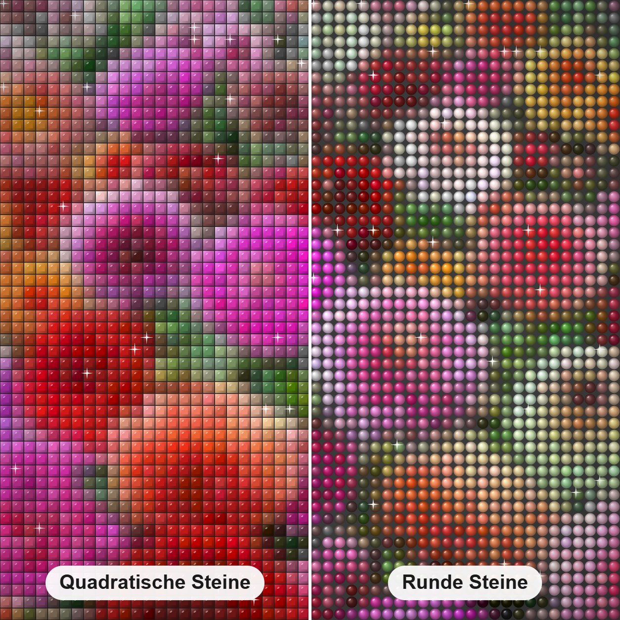 Feld der Dahlienblüten Diamond Painting Nahaufnahme mit quadratischen und runden Steinen
