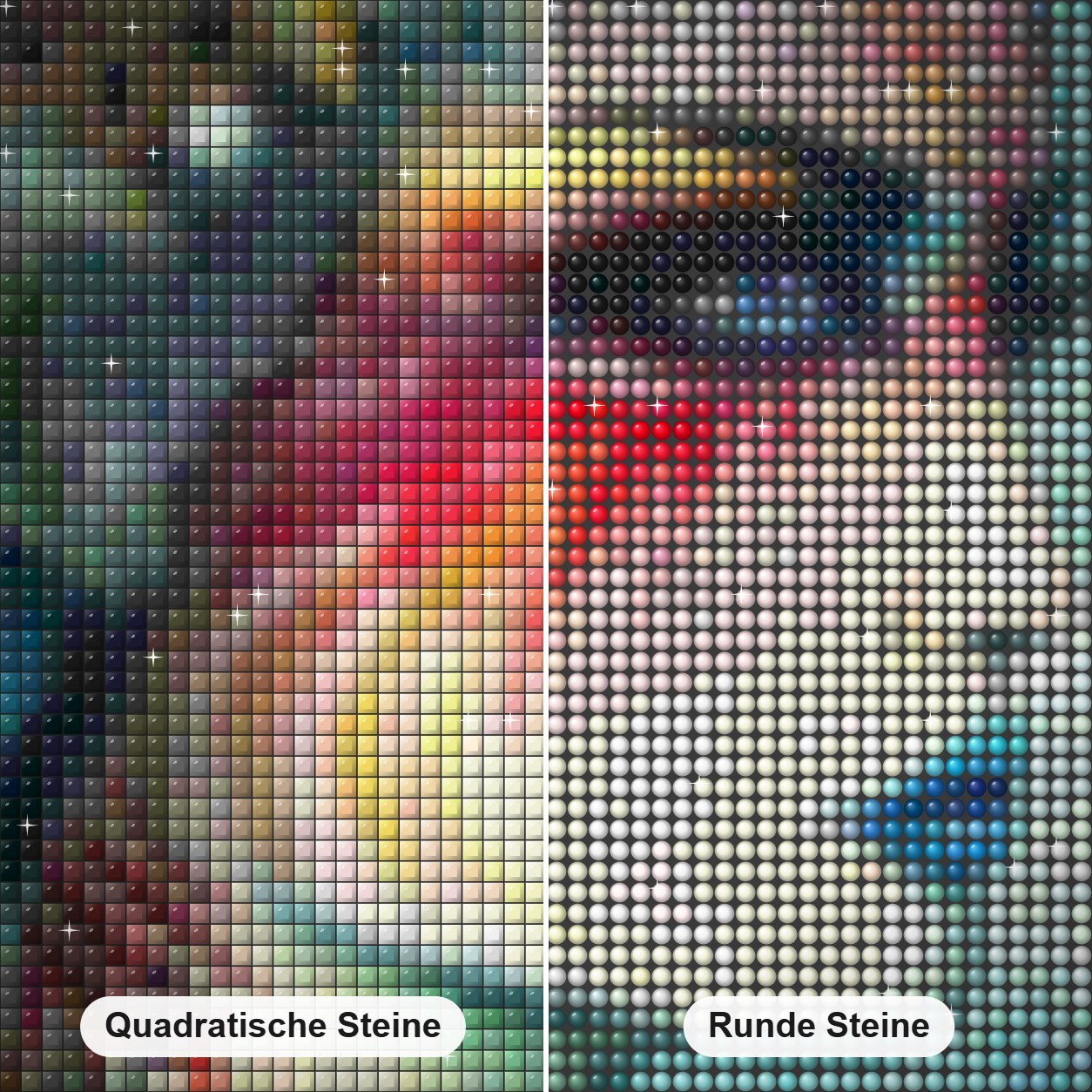 Fisch und Blumenkopf Frau Art Diamond Painting Nahaufnahme mit quadratischen und runden Steinen