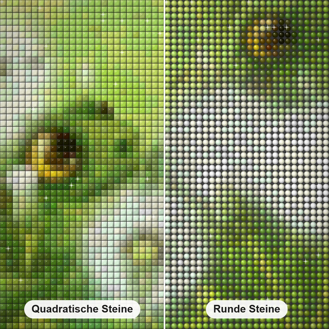 Frösche & Löwenzahn Diamond Painting Nahaufnahme mit quadratischen und runden Steinen