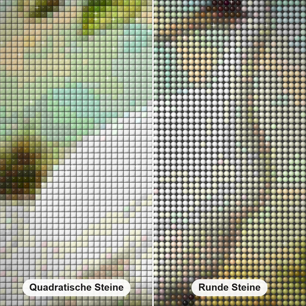 Fujian weißer Kran Diamond Painting Nahaufnahme mit quadratischen und runden Steinen
