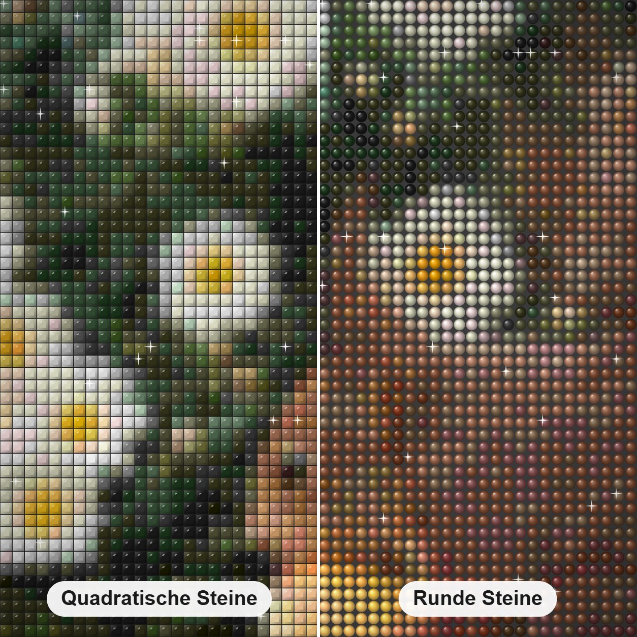 Gänseblümchen Blumen & Eichhörnchen Diamond Painting Nahaufnahme mit quadratischen und runden Steinen