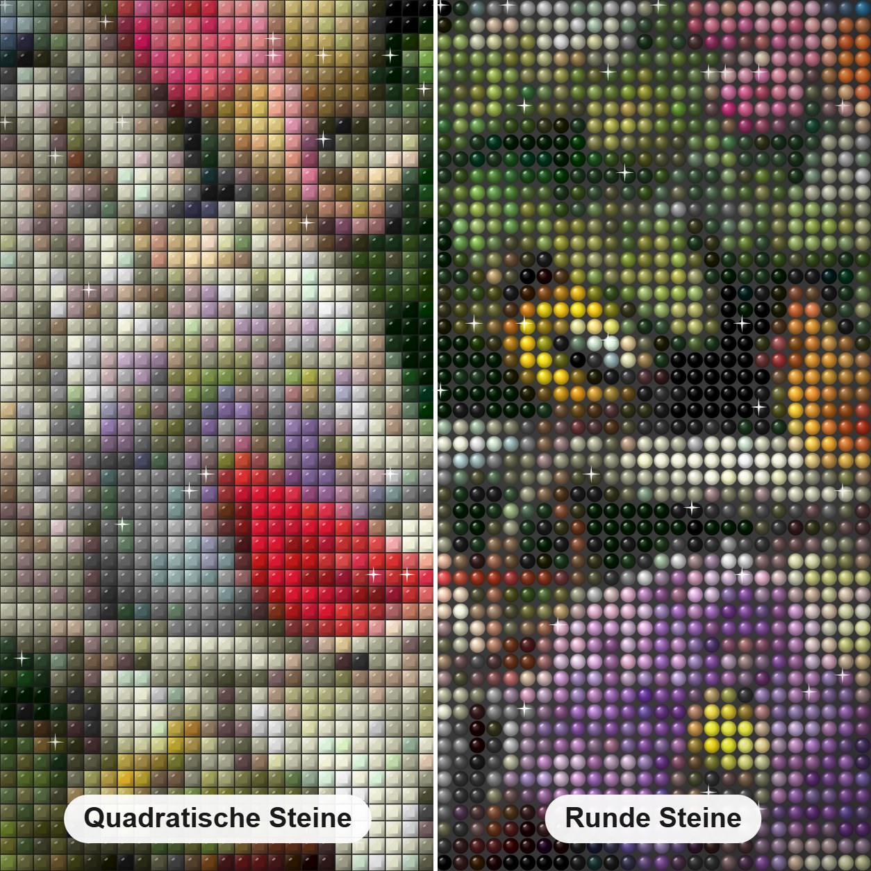 Gartenvögel Diamond Painting Nahaufnahme mit quadratischen und runden Steinen