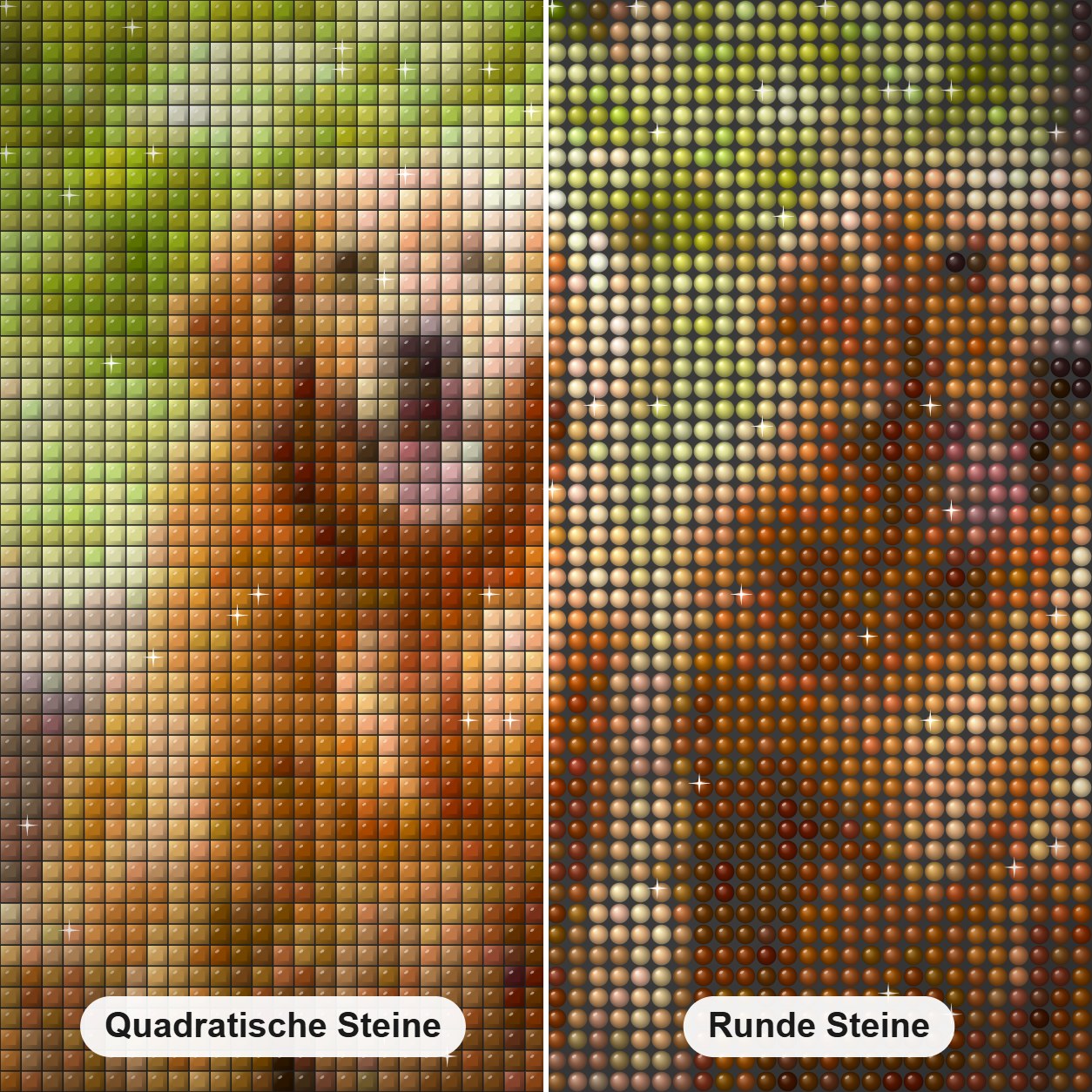 Golden Retriever gehen spaziere Diamond Painting Nahaufnahme mit quadratischen und runden Steinen