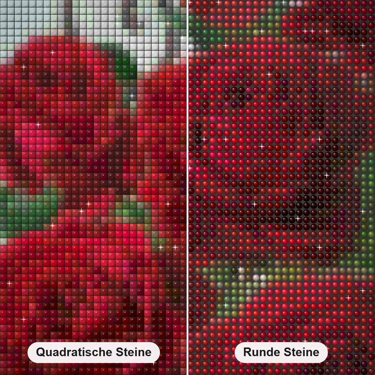 Hübsche rote Rosen Diamond Painting Nahaufnahme mit quadratischen und runden Steinen