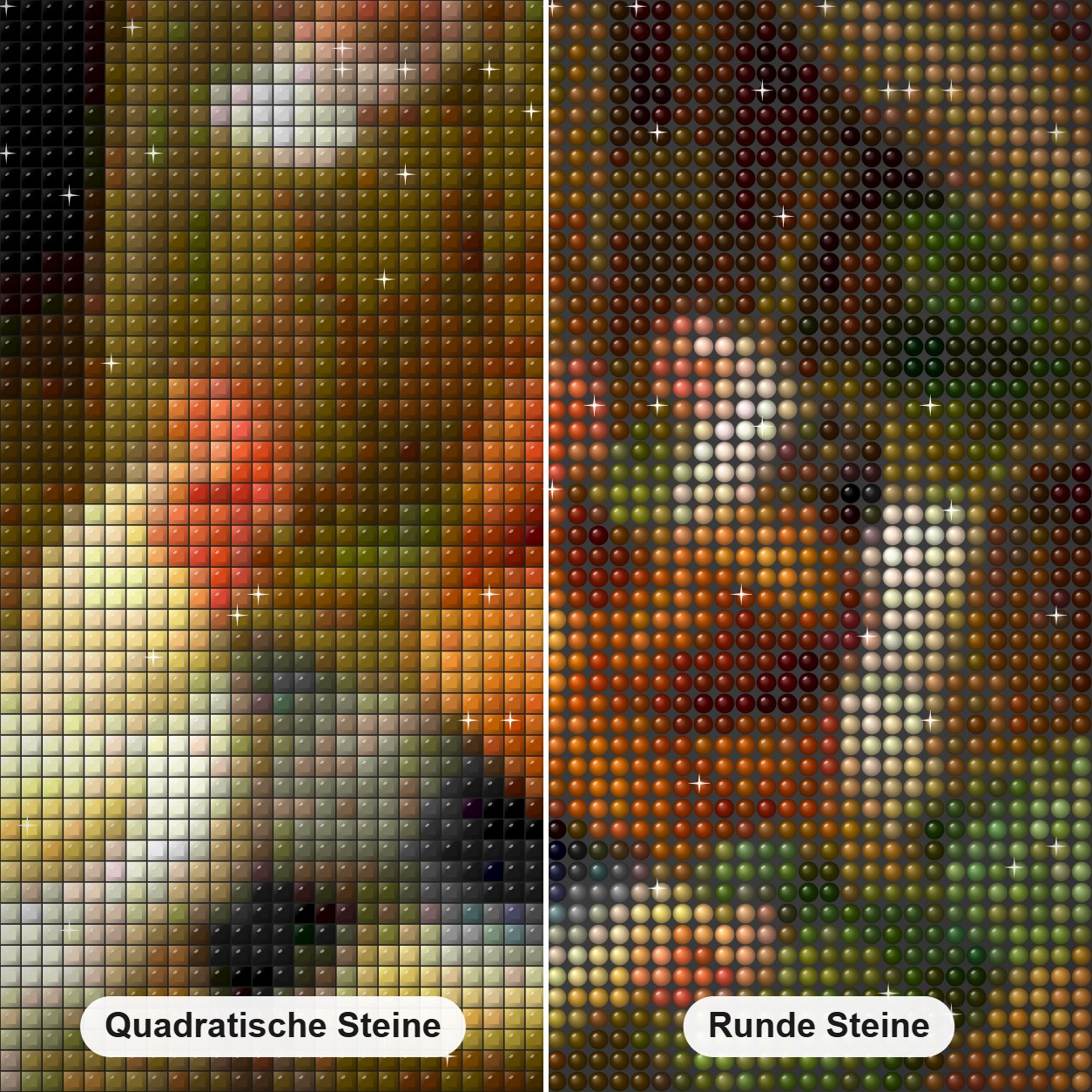 Hühner & Tauben Diamond Painting Nahaufnahme mit quadratischen und runden Steinen