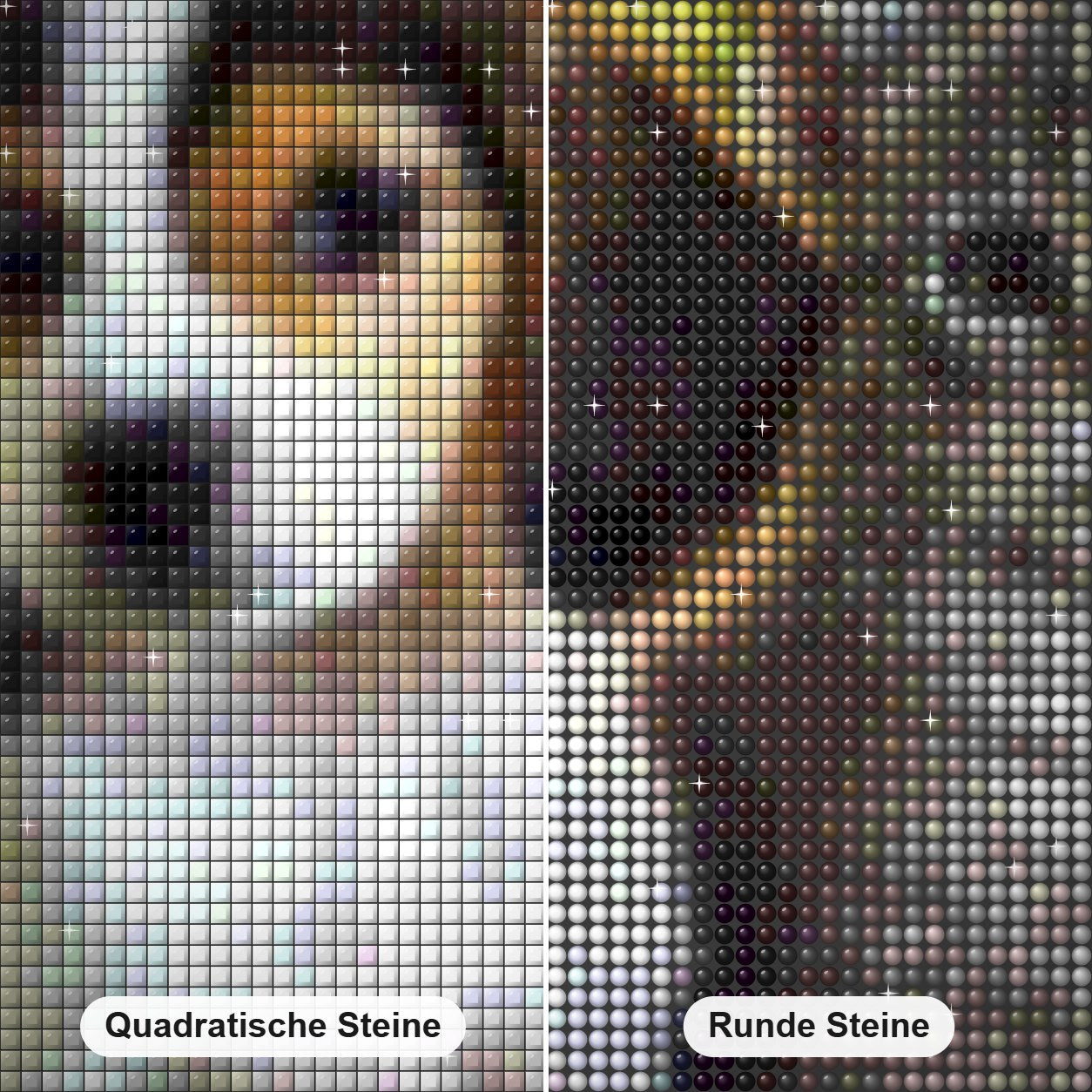 Hund Katze Diamond Painting Nahaufnahme mit quadratischen und runden Steinen