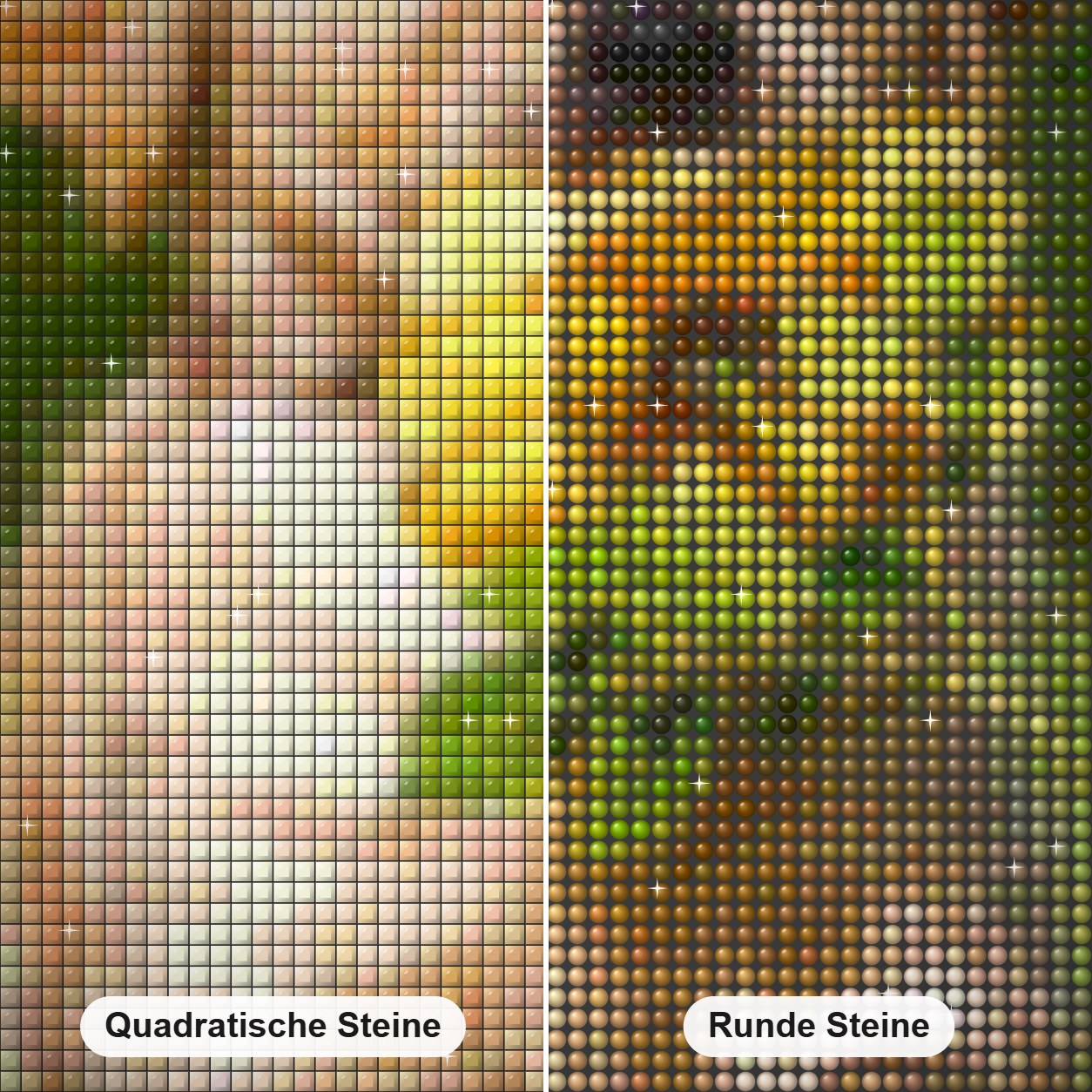 Hund läuft mit Blume im Mund Diamond Painting Nahaufnahme mit quadratischen und runden Steinen