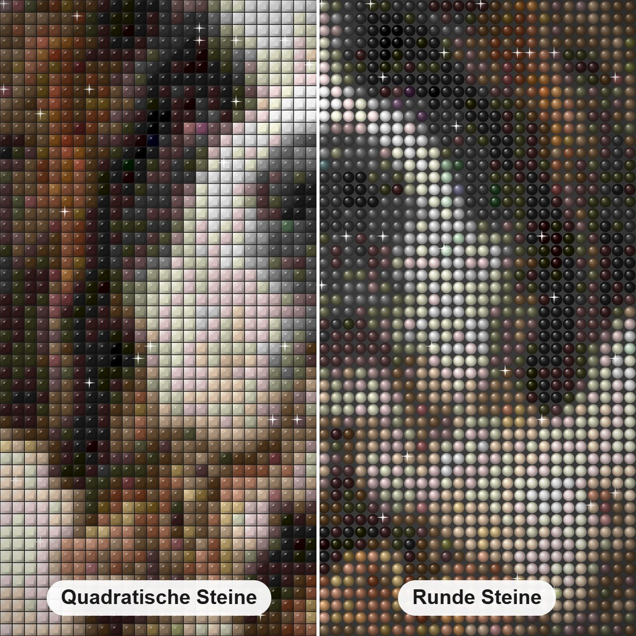 Hund mit drei Katzen Diamond Painting Nahaufnahme mit quadratischen und runden Steinen