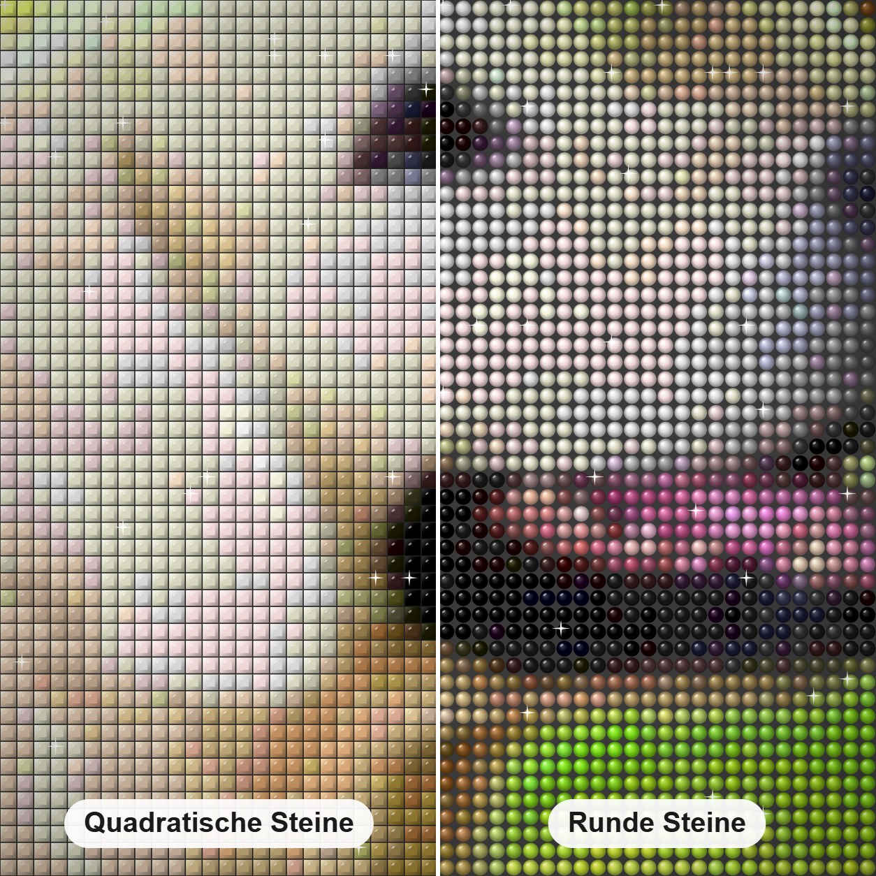 Hund mit Schmetterling auf der Nase Diamond Painting Nahaufnahme mit quadratischen und runden Steinen