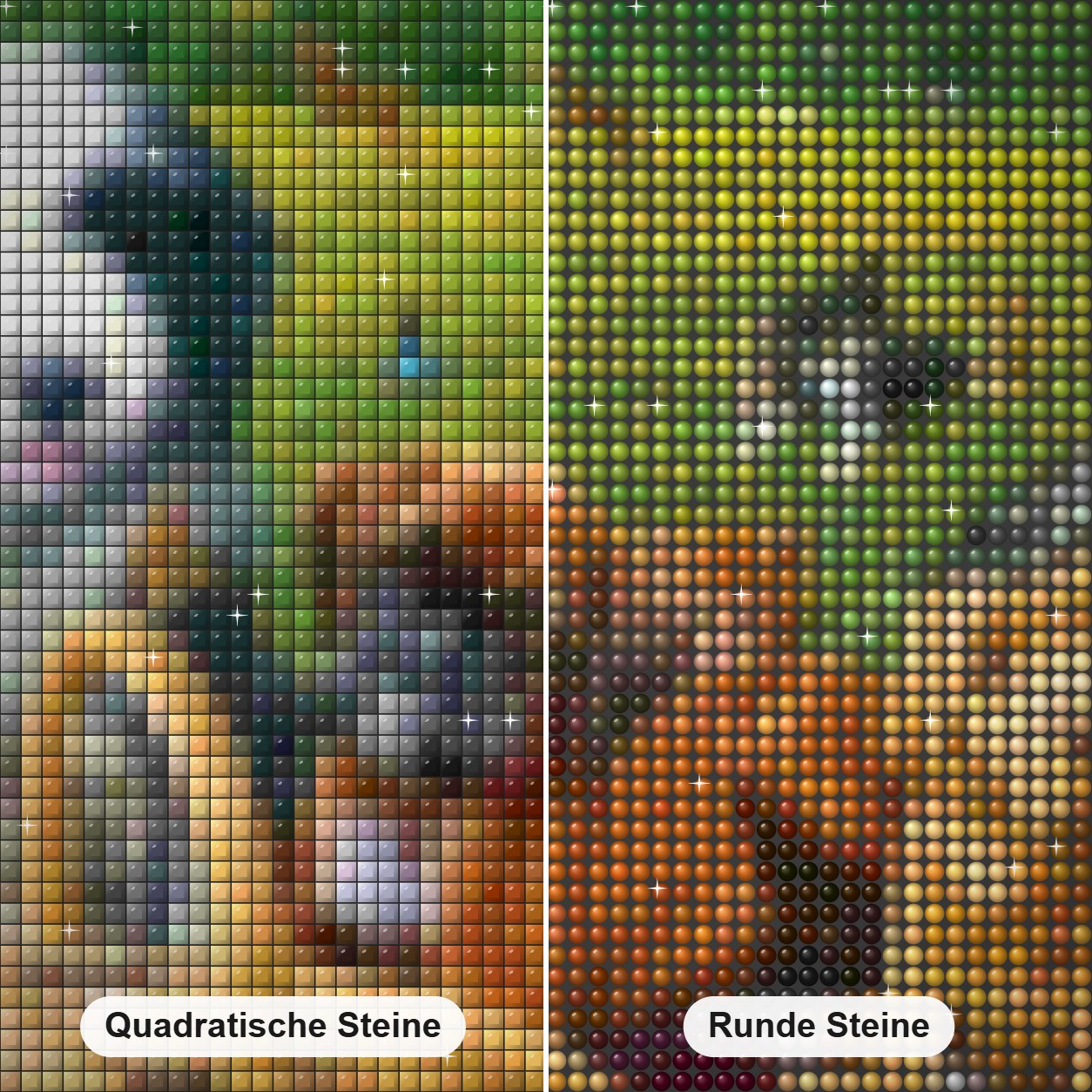 Hunde & Katzen beim Picknick. Diamond Painting Nahaufnahme mit quadratischen und runden Steinen