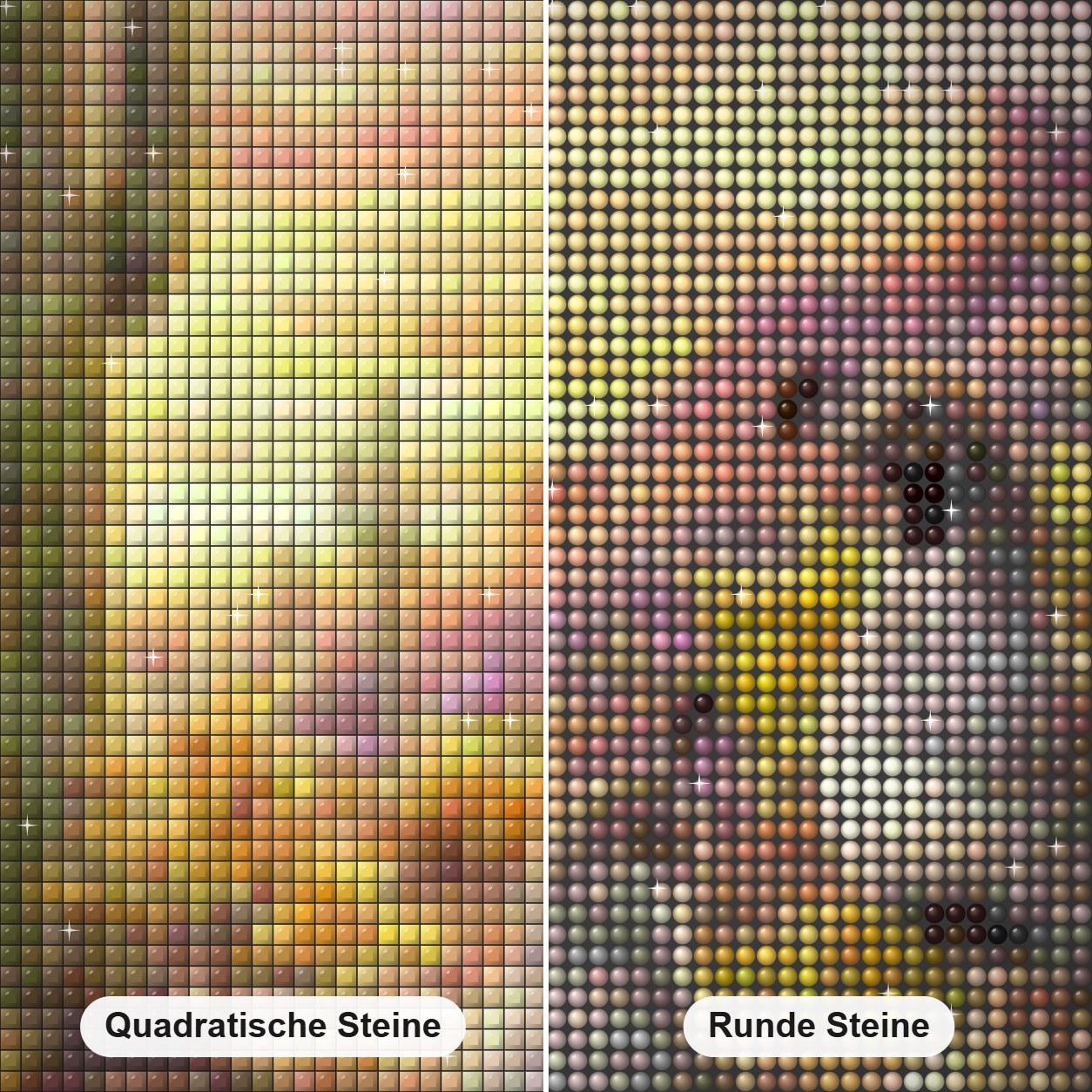Kaktus & Vögel Diamond Painting Nahaufnahme mit quadratischen und runden Steinen