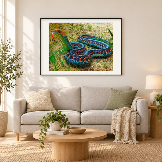 Kalifornische rote Strumpfbandnatter als gerahmtes Diamond Painting im Wohnzimmer