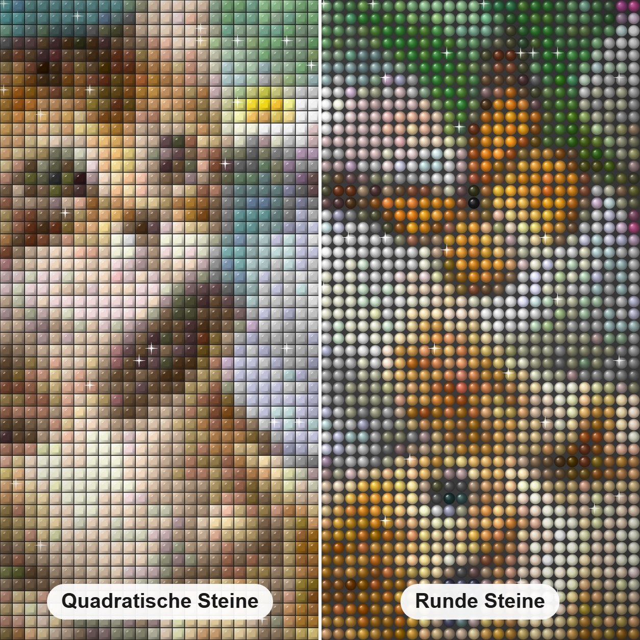 Kätzchen, Blumen & Schmetterlinge Diamond Painting Nahaufnahme mit quadratischen und runden Steinen