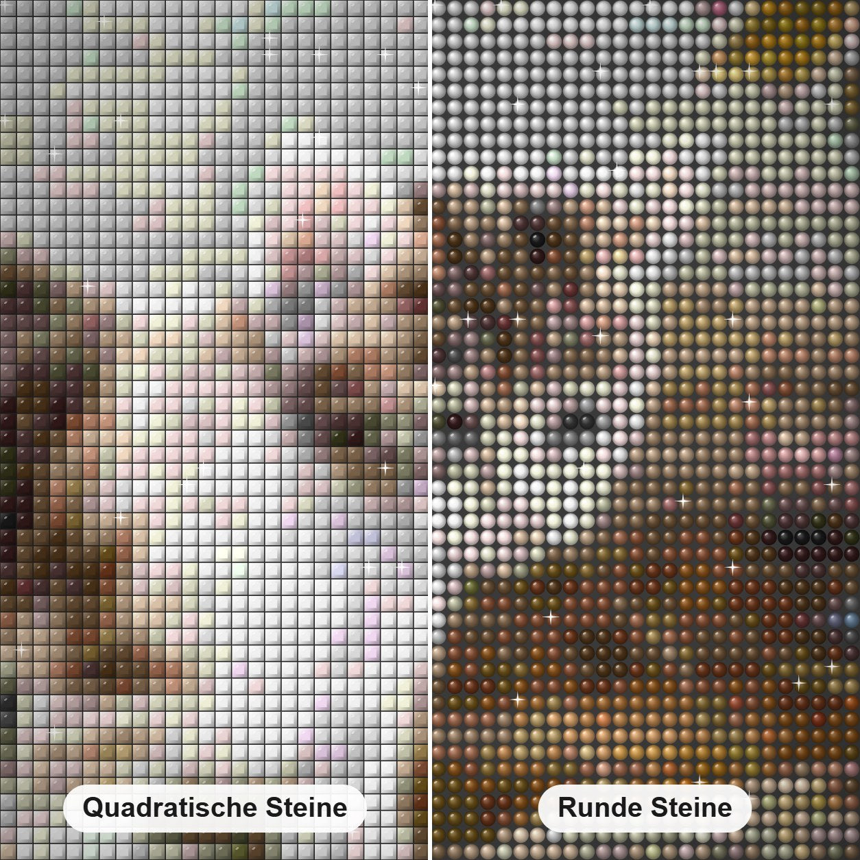 Katze & Libelle Diamond Painting Nahaufnahme mit quadratischen und runden Steinen