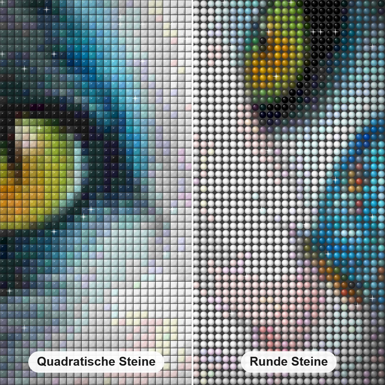 Katze mit Schmetterling auf der Nase Diamond Painting Nahaufnahme mit quadratischen und runden Steinen