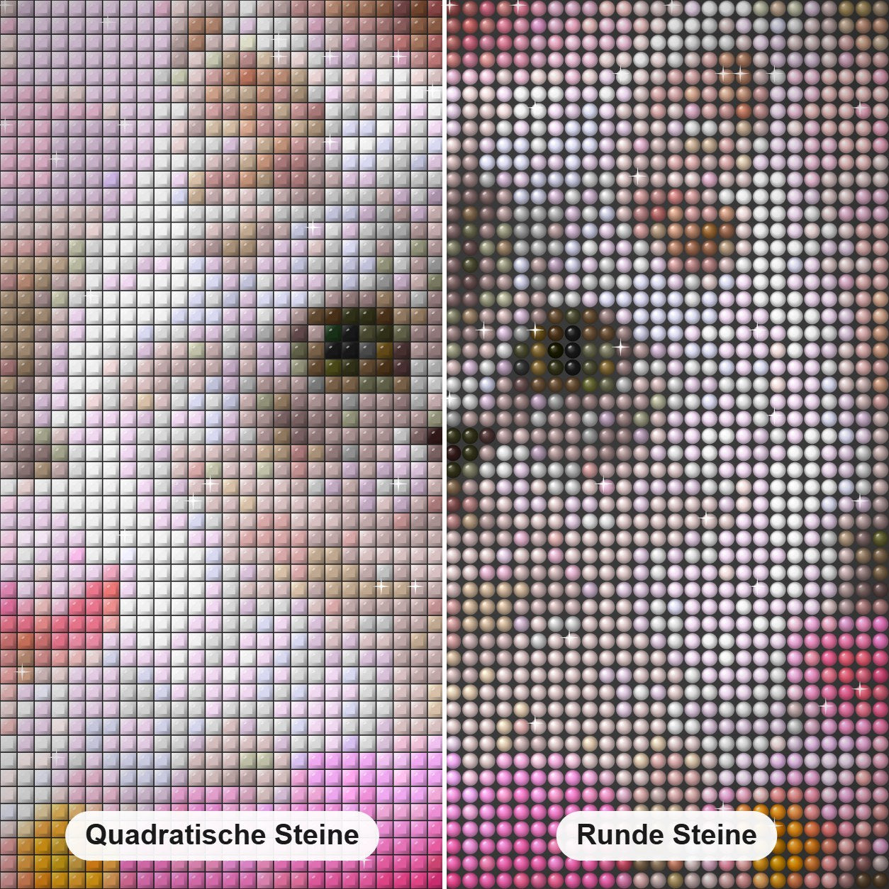 Katze sitzt in Blumen Diamond Painting Nahaufnahme mit quadratischen und runden Steinen