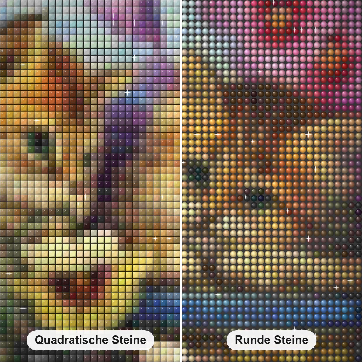 Katzen & bunte Blumen Diamond Painting Nahaufnahme mit quadratischen und runden Steinen