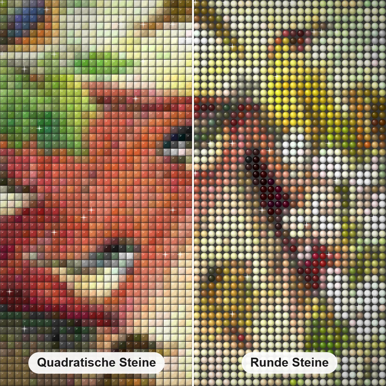 Kleine Welt der süßen Vögel Diamond Painting Nahaufnahme mit quadratischen und runden Steinen