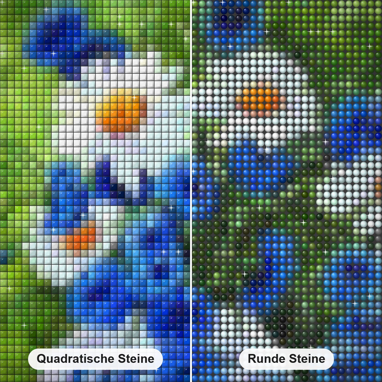 Kornblumen Gänseblümchen & Spatzen Diamond Painting Nahaufnahme mit quadratischen und runden Steinen