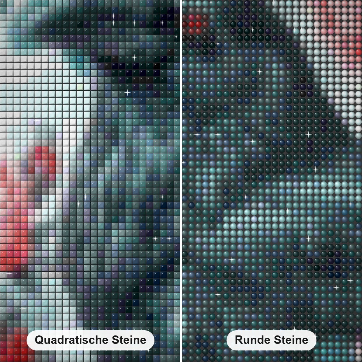 Krähe & Rosen Diamond Painting Nahaufnahme mit quadratischen und runden Steinen