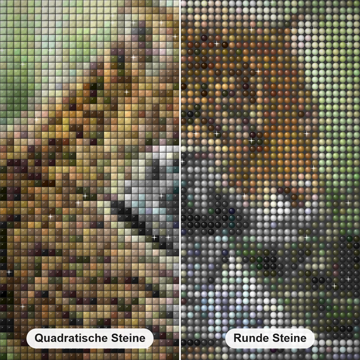 Leopard & afrikanische Papageien Diamond Painting Nahaufnahme mit quadratischen und runden Steinen