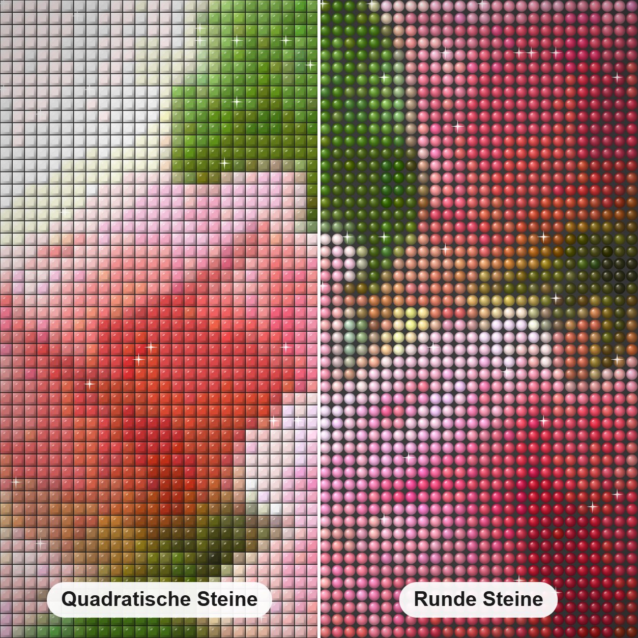 Lovely Pink Roses Diamond Painting Nahaufnahme mit quadratischen und runden Steinen