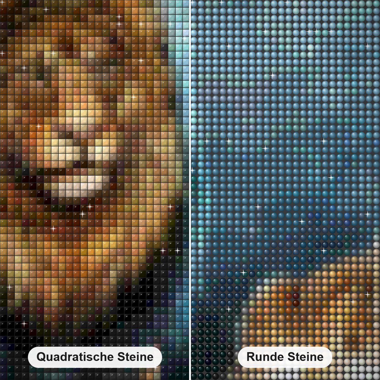 Löwe Diamond Painting Nahaufnahme mit quadratischen und runden Steinen