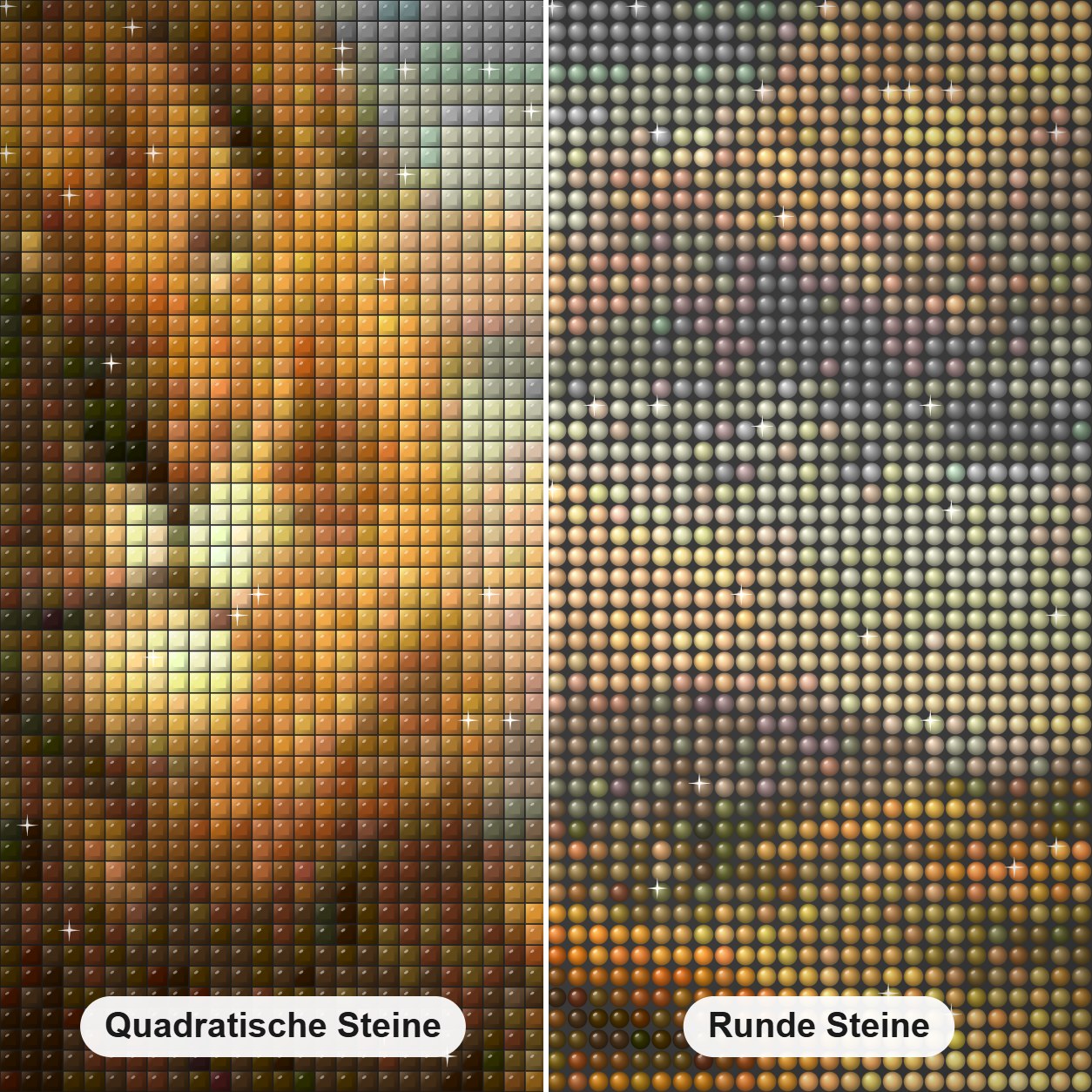 Löwe & Lamm sitzen zusammen Diamond Painting Nahaufnahme mit quadratischen und runden Steinen