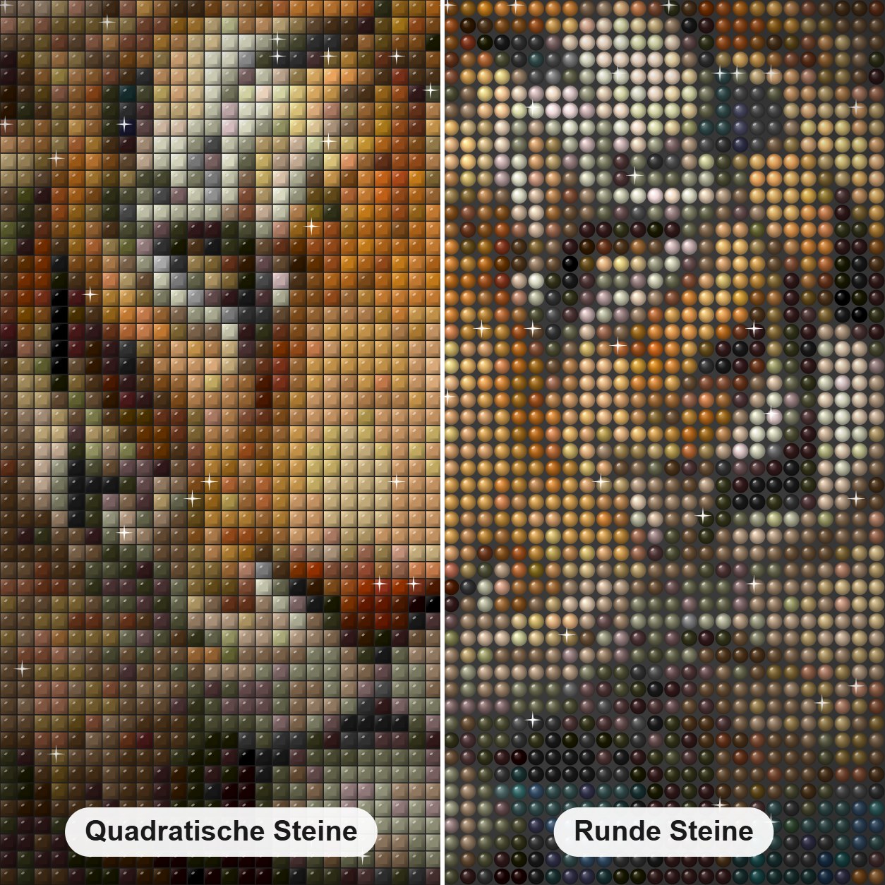 Majestätischer Löwe in einem Blumenparadies Diamond Painting Nahaufnahme mit quadratischen und runden Steinen