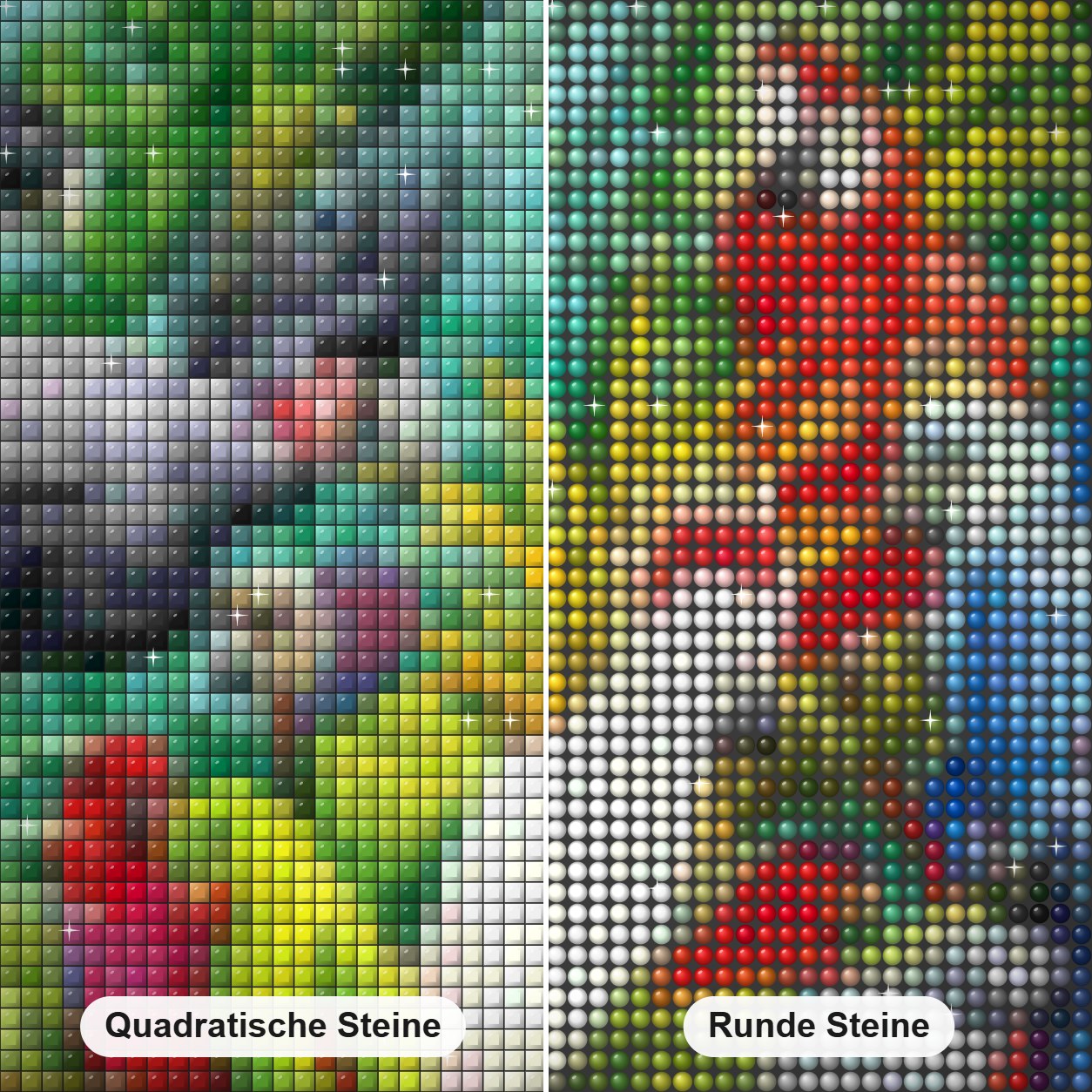 Papageien Königreich Diamond Painting Nahaufnahme mit quadratischen und runden Steinen